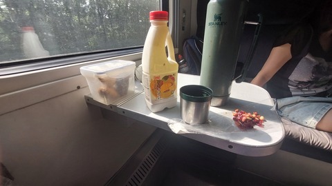 yoghurt, tea, peanuts, cranberries